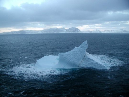 Boggi við Vatnsnes